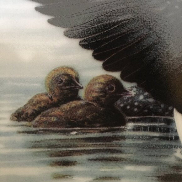 2/$40 Voice of the North Decorative Plate 'Early Start' Don Li-Leger - Picture 2 of 8